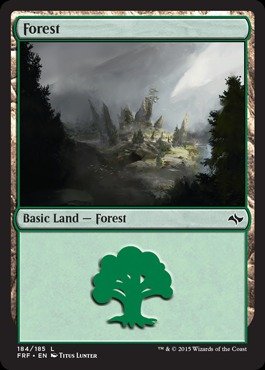 Magic: the Gathering - Forest (184/185) - Fate Reforged
