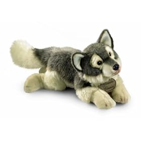 Yomiko Yomiko Wolf 17