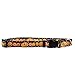 Yellow Dog Design One Size Fits All Pumpkin Party Break Away Cat Collar, Null