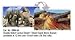 Background 19" X 50ft Desert Sand/cactus
