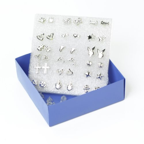 One Set of 18 Pairs Lovely Mixed Different Shape Silver Resin Stud Earrings