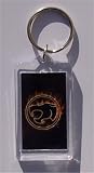  : Thundercats Flames Image Keychain