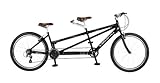 2015 Viking Saratoga Mountain Bike Tandem