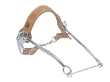 Hackamore