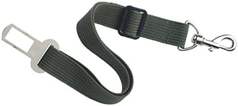 High Road Wag'nRide Seat Belt Tether, Seat Belt for Dogs - Green