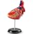 Learning Resources Anatomy Model Heart