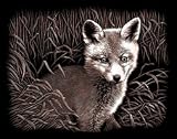 Review Oasis  / Reeves - Copperfoil - Fox