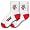 Wisconsin Badgers