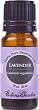 Lavender 100% Pure Therapeutic Grade Essential Oil- 10 ml