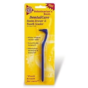 Dental Care Tooth Scaler and Stain Eraser