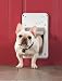 SmartDoor - Small
