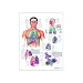 3B Scientific Glossy Paper The Respiratory System Anatomical Chart