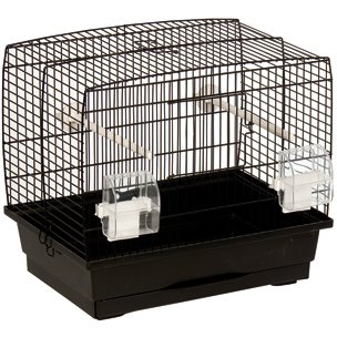 Flamingo 107654 Vogelk&auml;fig Buru schwarz Preisvergleich
