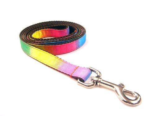 Small Rainbow Dog Leash - Nylon Webbing: 3/4