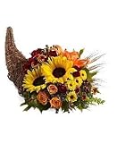 Nature's Cornucopia