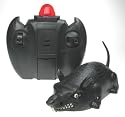 Wall Climbing Radio Controlled Rat - runs up the wall or on the ceiling - amazing !