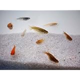 ���i�̏ڍ�