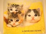 2008 CURIOUS CATS 16 MONTH PINUP WALL CALENDAR