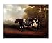 Prize Heifer - C. Lange Art Print Poster 29 x 24