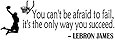 LoveDecal LeBron James You Can't Be Afraid to Fail, Wall Decal, Vinly, Black