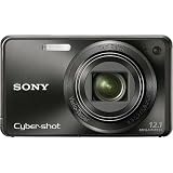 Sony Cyber-shot DSC-W290 12.1 MP Digital Camera with 5x Optical Zoom and Super Steady Shot Image Stabilization (Black)