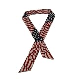 MistyMate Arctic Tie - Blue  Red by 