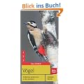 V�gel: Treffsicher bestimmen in drei Schritten