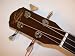 Left Hand Oscar Schmidt Acoustic Electric Bass Guitar, Lefty, Venetian Cutaway, Gig Bag image 7