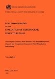 Some Organic Solvents, Resin Monomers and Related Compounds, Pigments and Occupational Exposures in Paint Manufacturing. IARC Vol 47 (IARC Monographs on ... of Carcinogenic Risks to H) (v. 47)