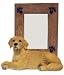 GOLDEN RETRIEVER Dog Photo Picture FRAME Figurine SF19