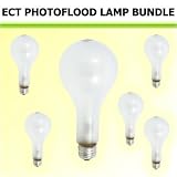 WIKO ECT Photoflood Lamp 500W 120V (3200K) 6 Bulb Kit