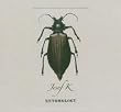 Entomology