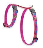 Wing It - Lupine Adjustable H-Style Harness - 1/2 in. - 9 in. x 14 in.