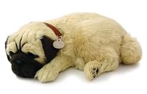 Perfect Petzzz Pug