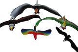 Cheap Deals on bird-5 Piece Plastic Cool Colorful Assorted Birds