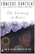 The Farming of Bones