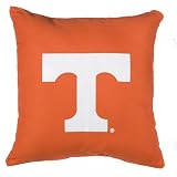 University of Tennessee Floor Pillow