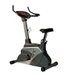 Fitnex B50 Upright Exercise Bike