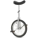 DH Unicycle