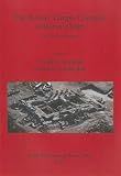 The Roman temple complex at Horvat Omrit : an interim report