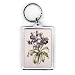 Helleborus Orientalis from Helen Ballard (dark purple flowers) by Alison Cooper - Acrylic Keyring - Art247 - Standard Size