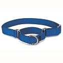 Premier Nylon Martingale Collar - Medium - Purple