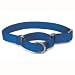 Premier Nylon Martingale Collar - X-Large - Blue