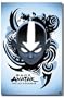 Avatar The Last Airbender 22 5X34 Wall Poster New 9684
