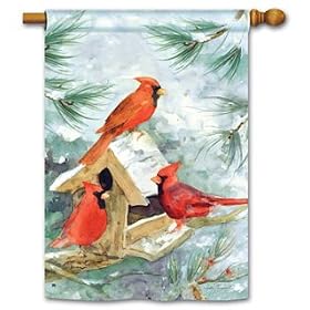 Cardinal Feeder Standard Flag by 
