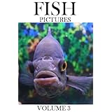 Fish Pictures - Volume 3