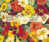 NASTURTIUM JEWELS MIX Tropaeolum Majus --- 25 Flower Seeds thumbnail