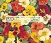 NASTURTIUM JEWELS MIX Tropaeolum Majus --- 25 Flower Seeds