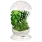 AeroGrow AeroGarden 3 with Gourmet Herbs