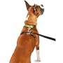 ThunderLeash - Large